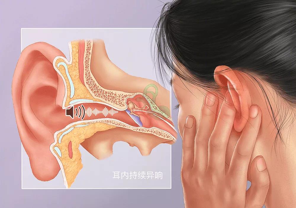 重庆仁品医生分享：耳鸣的原因